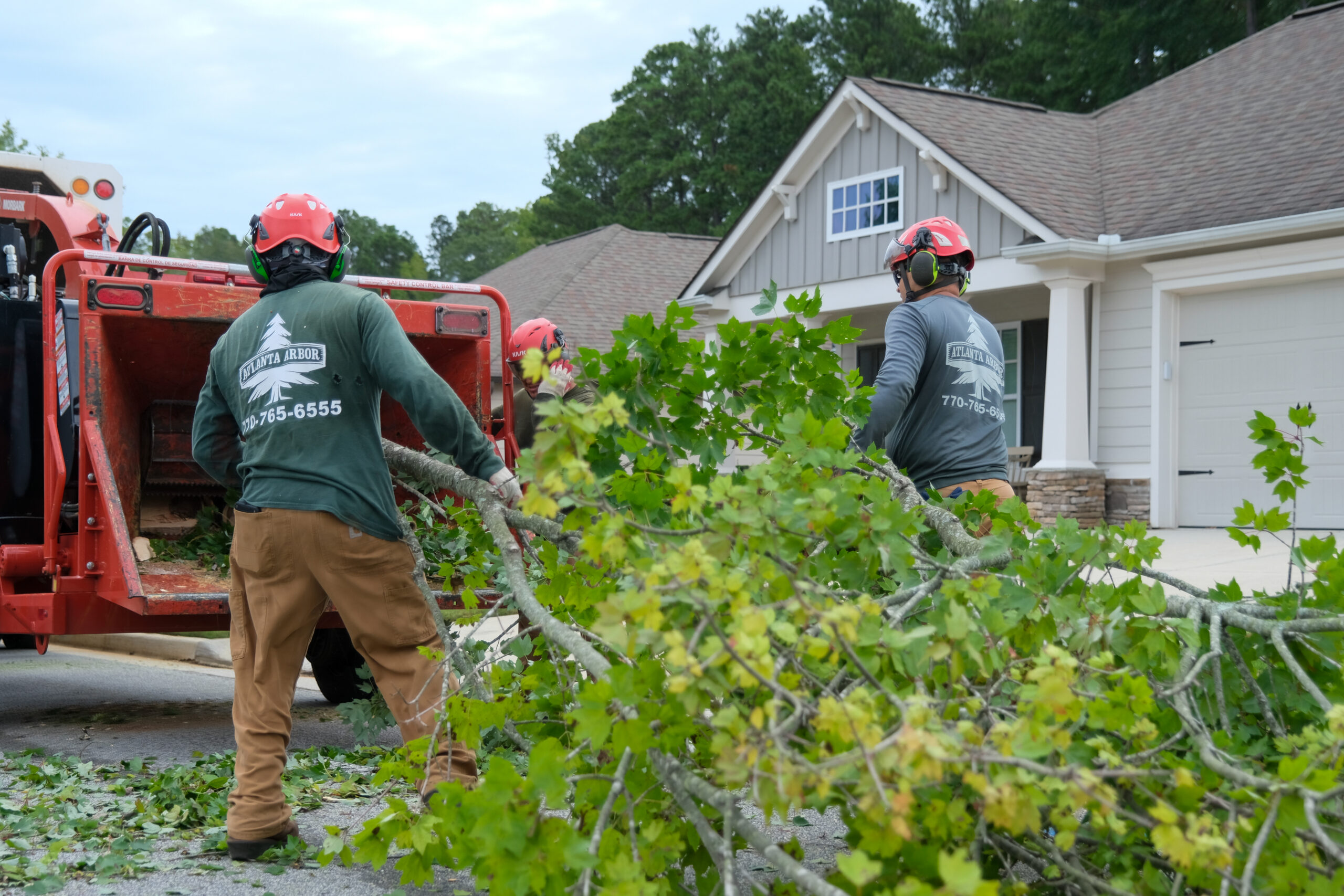 Arborist team on site