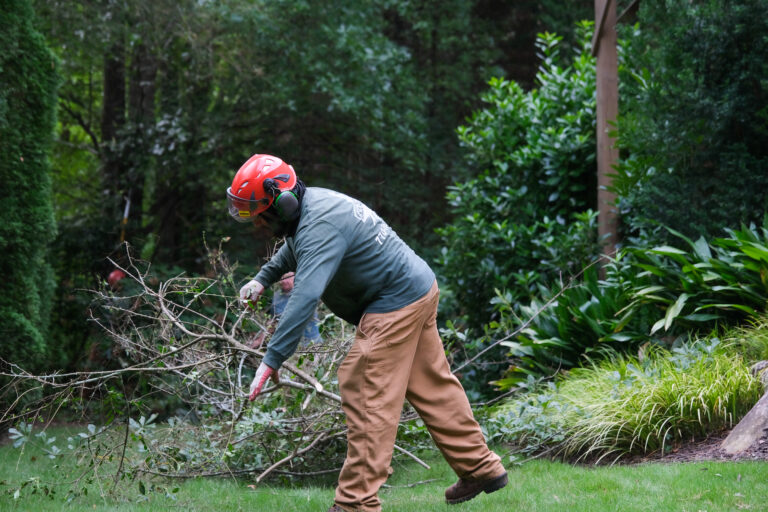 Helping arborists and plant health care operations grow