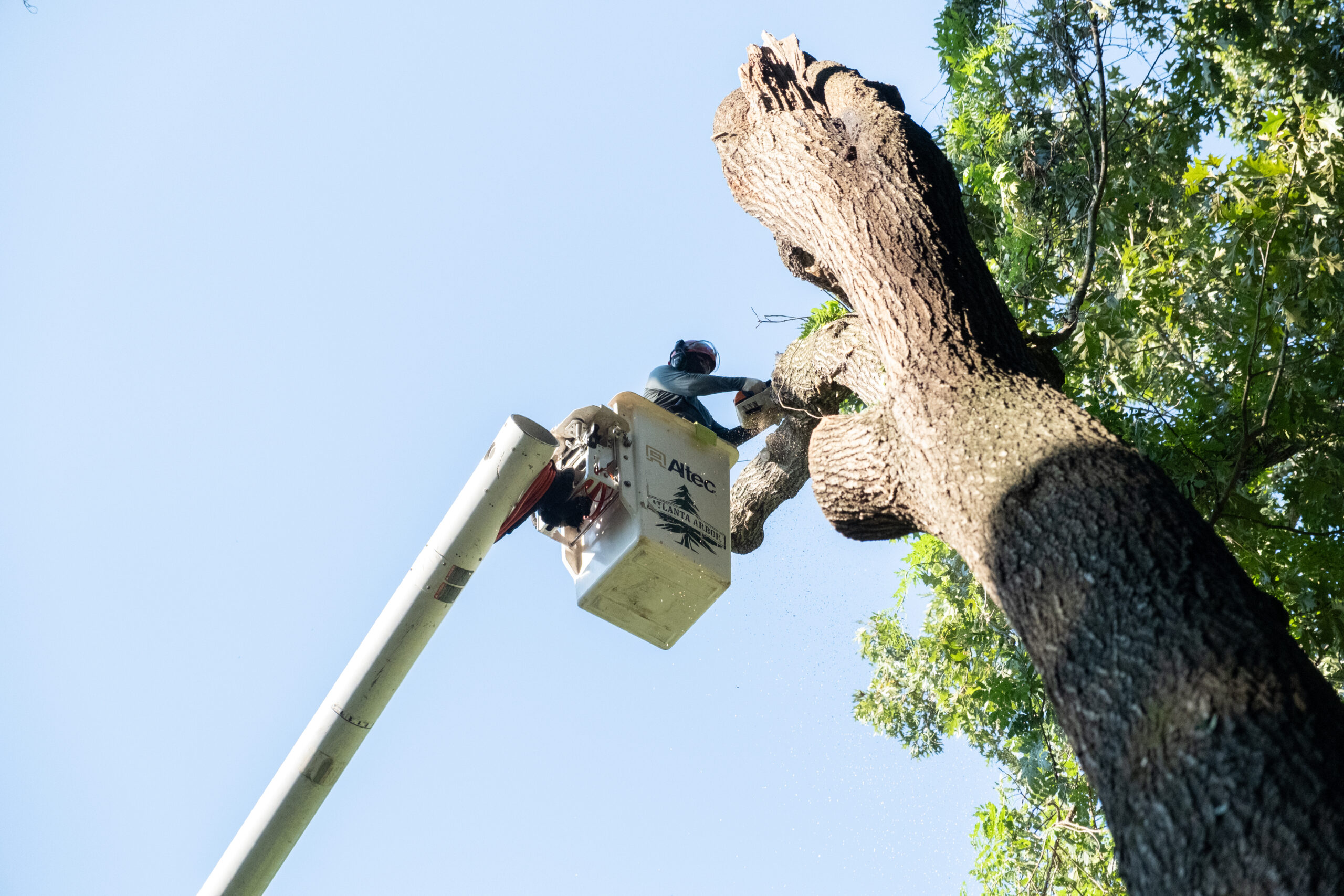 Manage Tree Care & PHC crews and jobs effectively