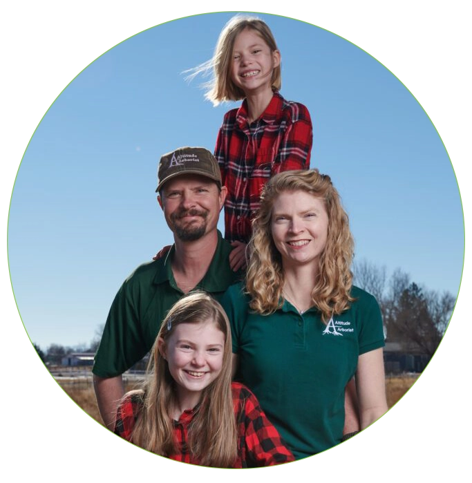 Altitude Arborist thumbnail