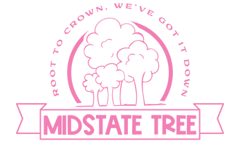 Midstate Tree