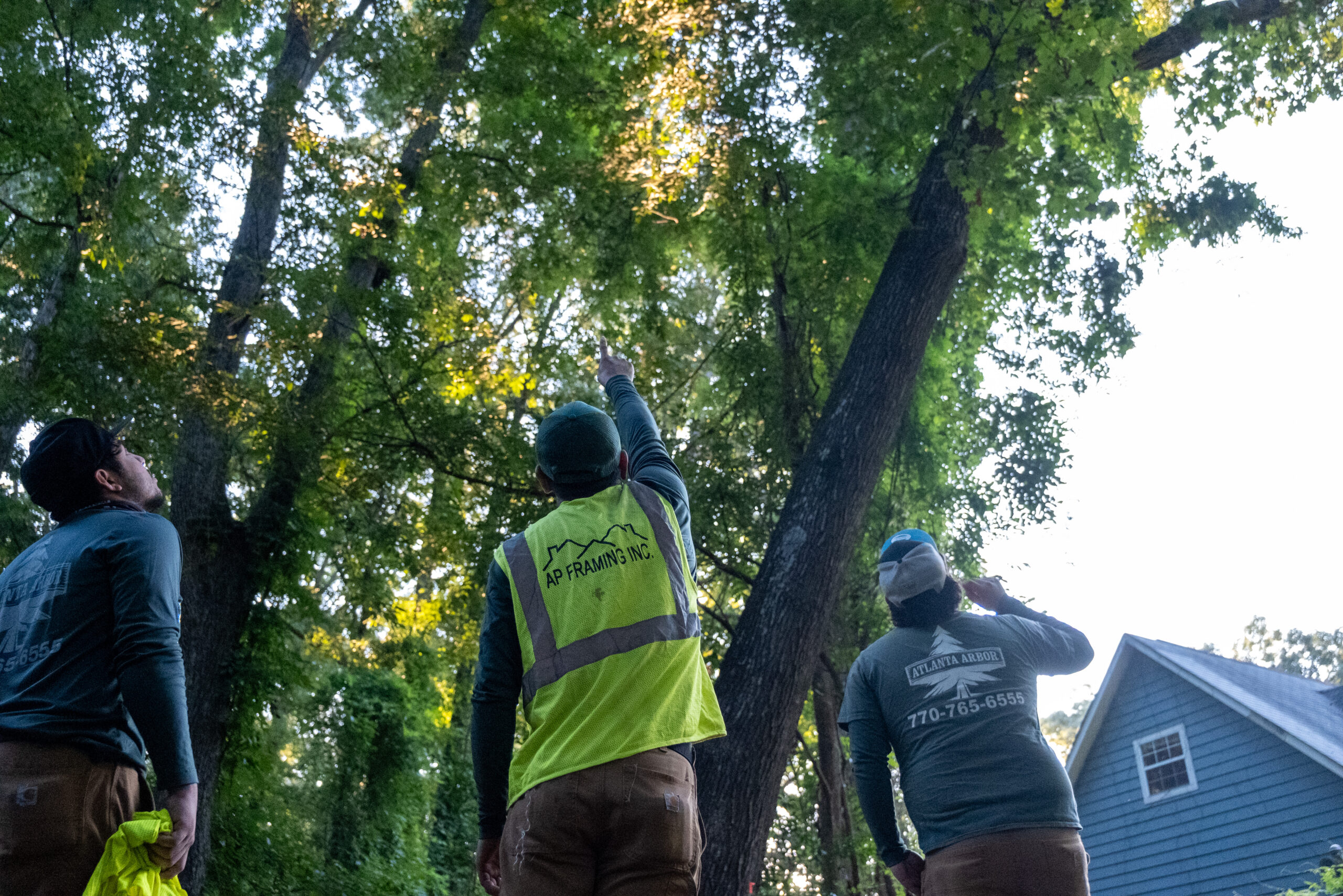 Team leadership tree crew