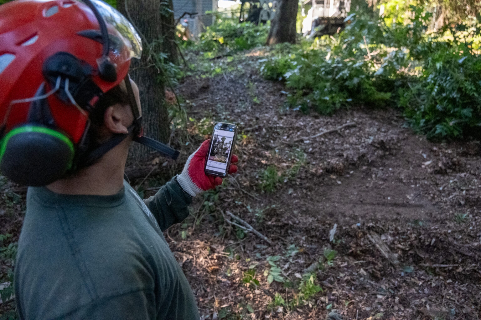 SingleOps Premier: Arborist Software For Large Businesses | SingleOps ...