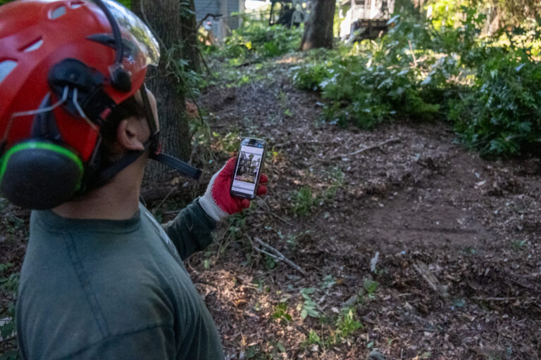 Arborist Using Business Software