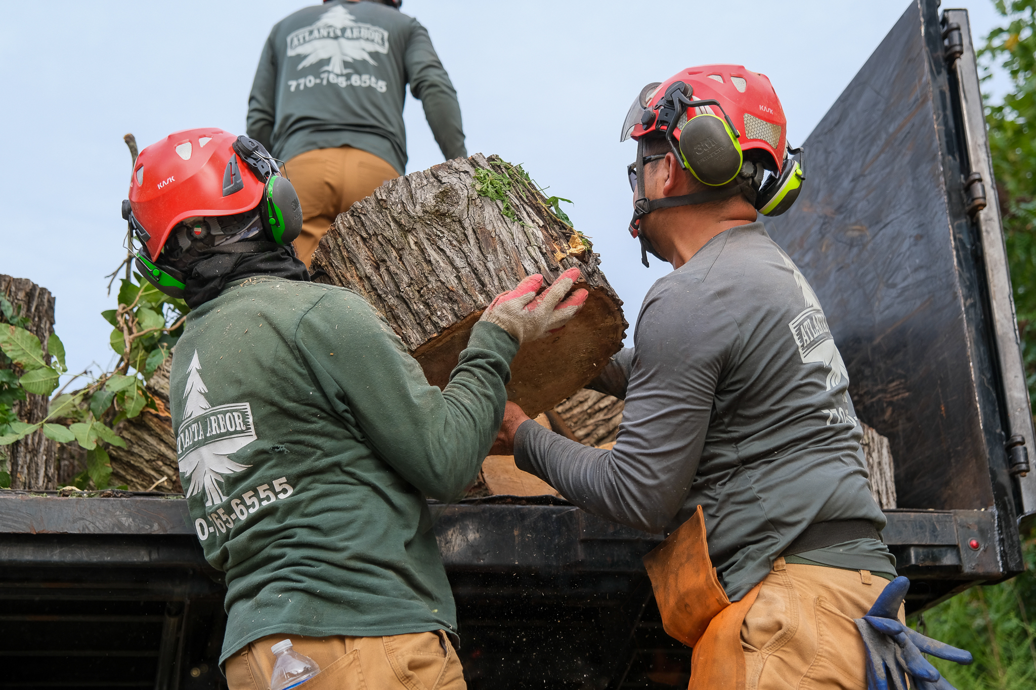 Tree care crew management platform