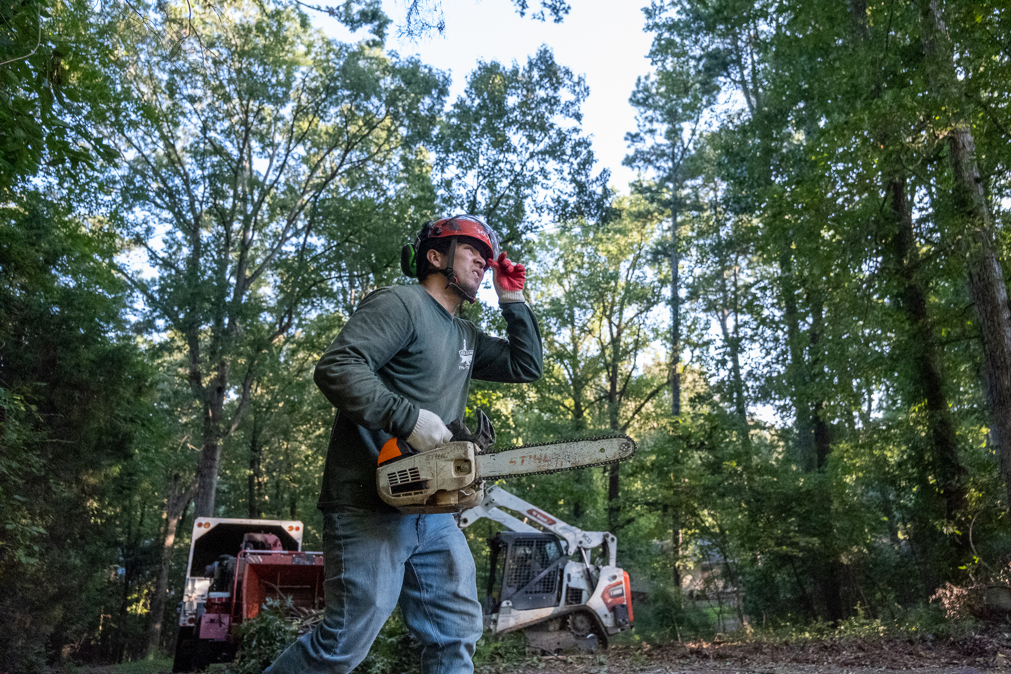 Business software for arborists