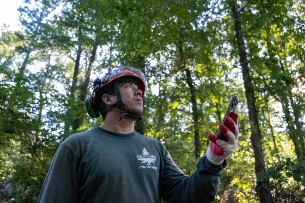 SingleOps Premier: Arborist Software For Large Businesses | SingleOps ...