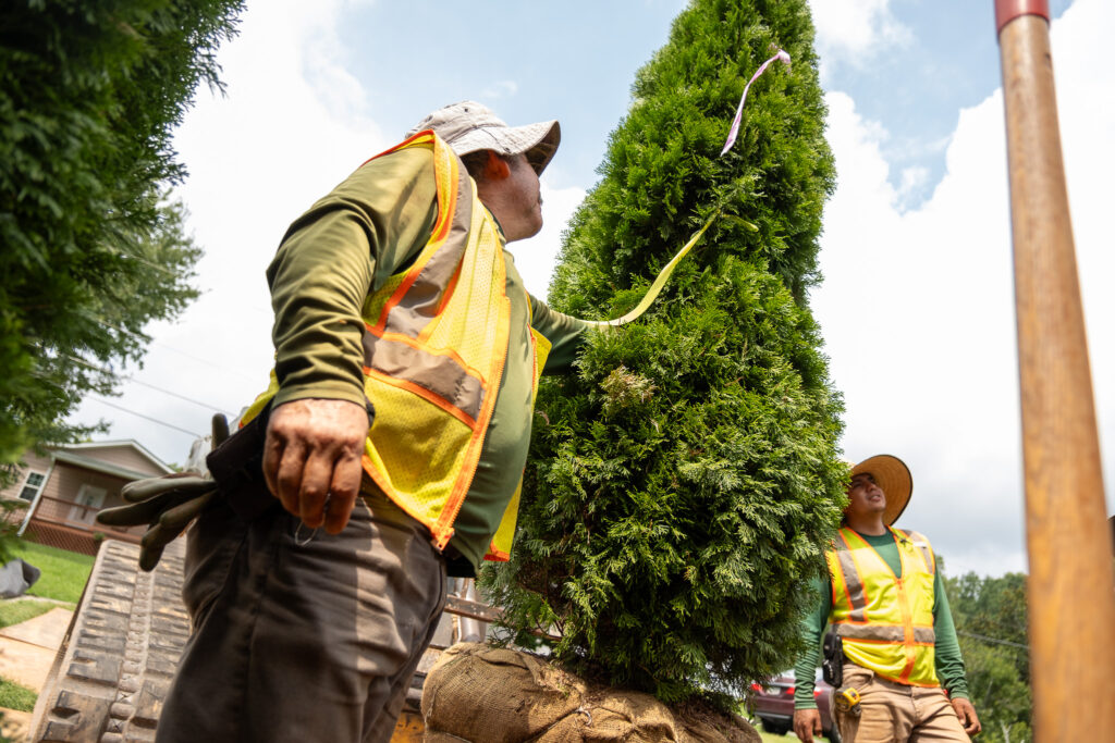 Full Service Landscaping Team