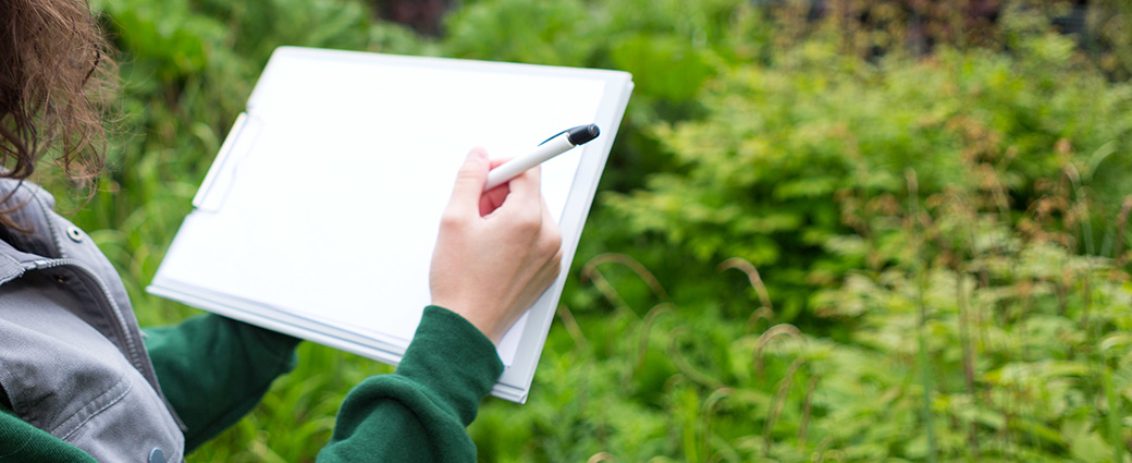 What Should an Osha Emergency Action Plan Include? A Checklist for Landscapers