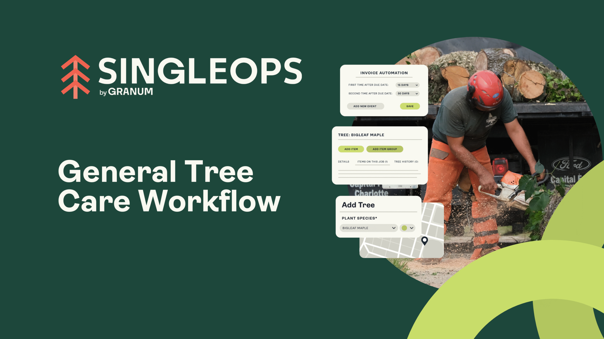 General Tree Care Workflow in SingleOps