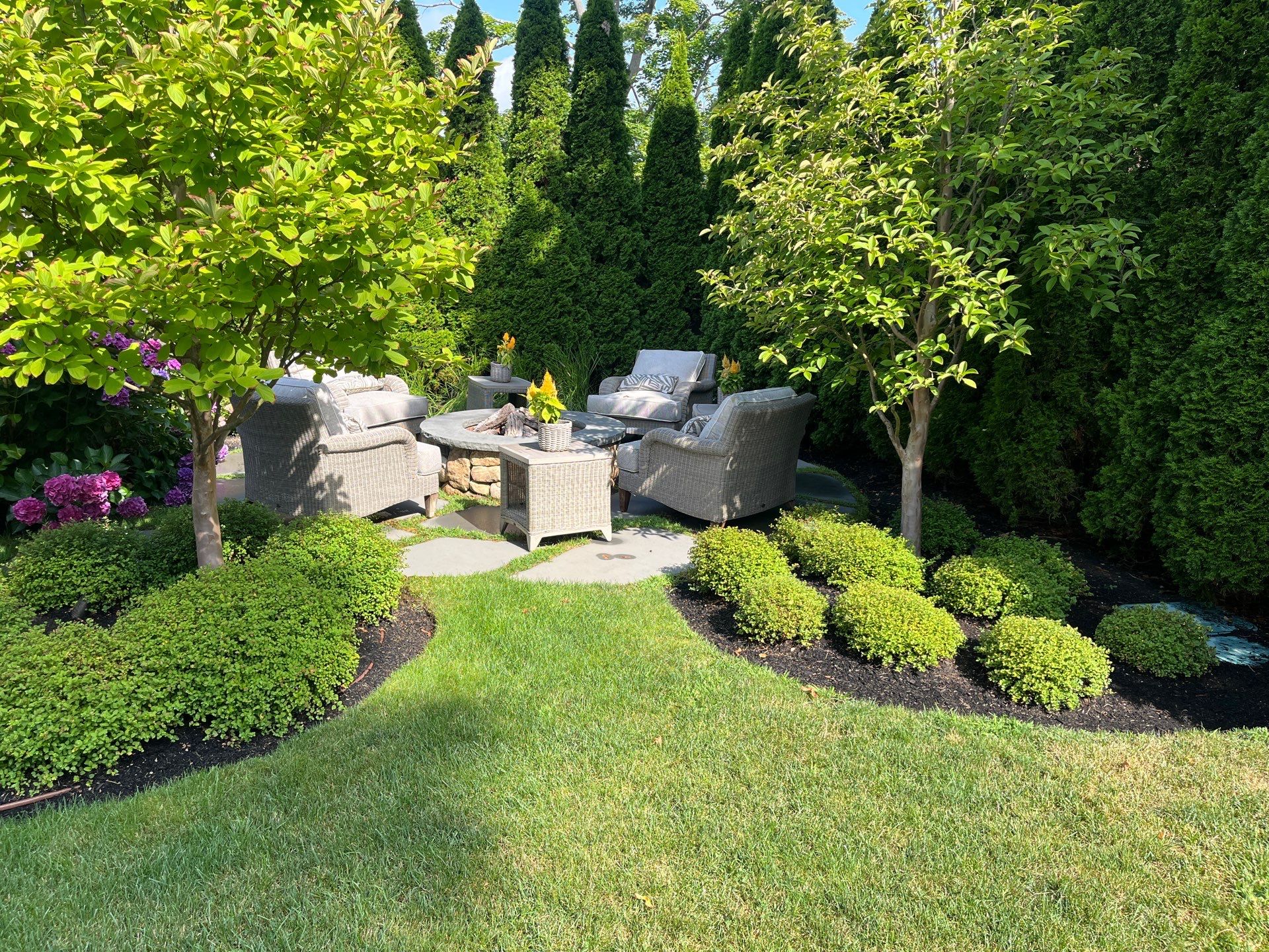 Green landscaped backyard